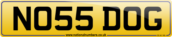 NO55 DOG