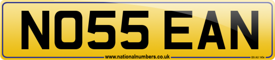 NO55 EAN