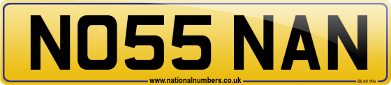 NO55 NAN