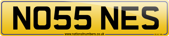 NO55 NES