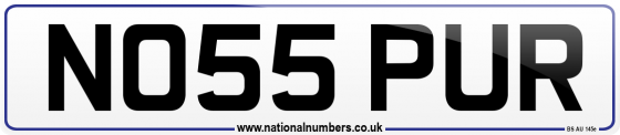 NO55 PUR