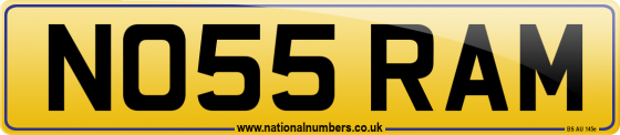 NO55 RAM