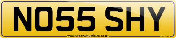 NO55 SHY