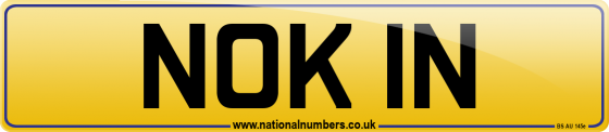 NOK 1N