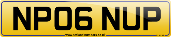 NP06 NUP
