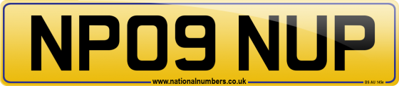 NP09 NUP