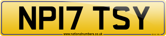 NP17 TSY