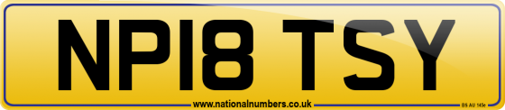 NP18 TSY