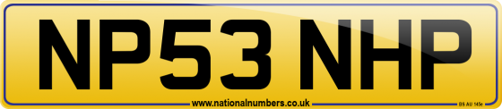 NP53 NHP