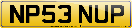 NP53 NUP