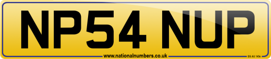 NP54 NUP