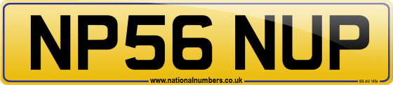 NP56 NUP