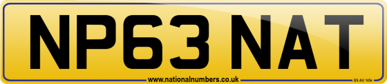 NP63 NAT
