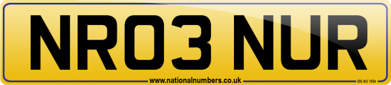 NR03 NUR