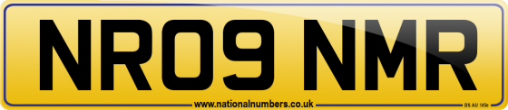 NR09 NMR
