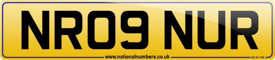 NR09 NUR