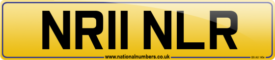 NR11 NLR
