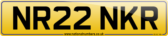 NR22 NKR