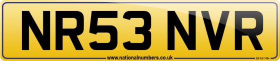 NR53 NVR