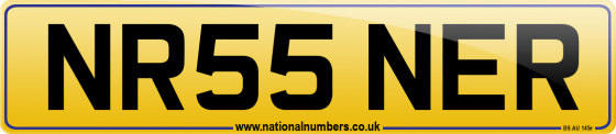 NR55 NER