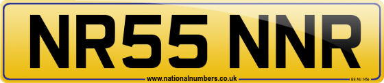 NR55 NNR