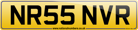 NR55 NVR