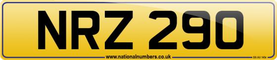NRZ 290