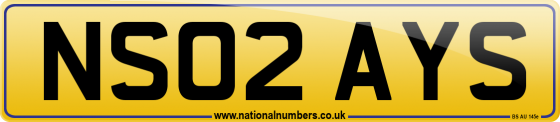 NS02 AYS