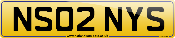 NS02 NYS
