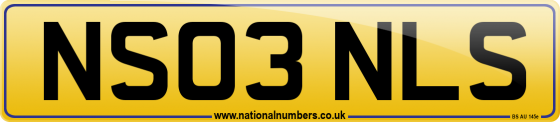NS03 NLS