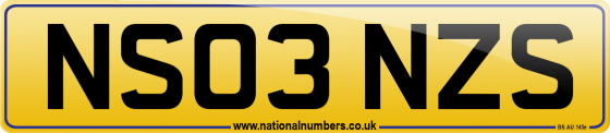 NS03 NZS