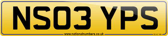 NS03 YPS