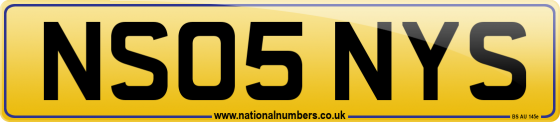 NS05 NYS