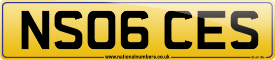 NS06 CES