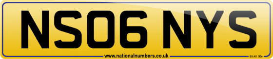 NS06 NYS