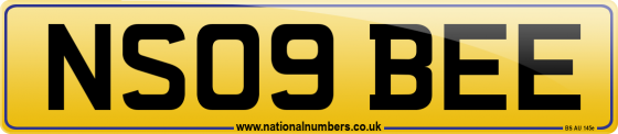 NS09 BEE