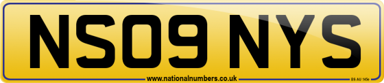 NS09 NYS