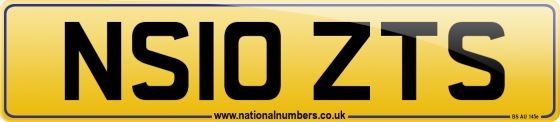 NS10 ZTS