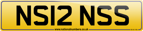 NS12 NSS