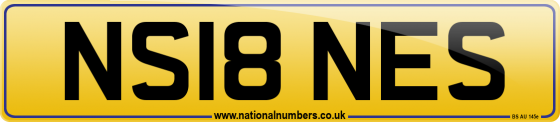 NS18 NES
