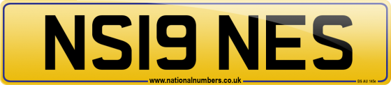 NS19 NES
