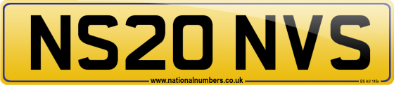 NS20 NVS