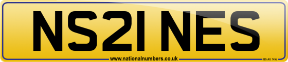 NS21 NES