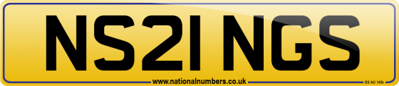 NS21 NGS