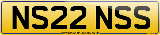 NS22 NSS