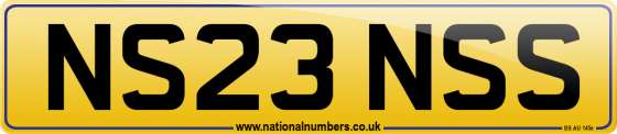 NS23 NSS