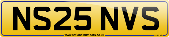 NS25 NVS