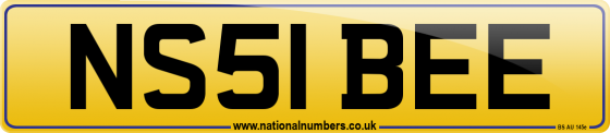 NS51 BEE