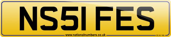 NS51 FES