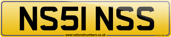 NS51 NSS